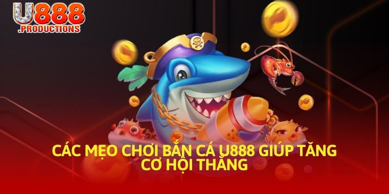 Chiến thuật săn cá đỉnh cao