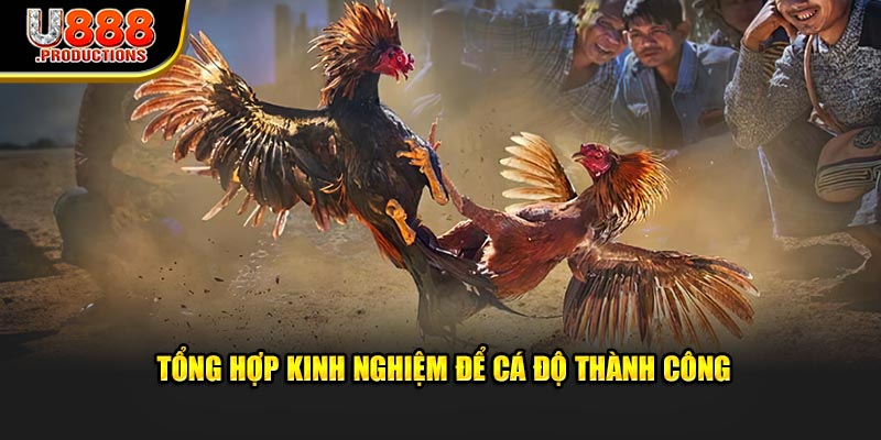 Tổng hợp kinh nghiệm để cá độ thành công