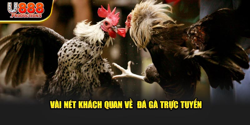 Vài nét khách quan về  đá gà trực tuyến